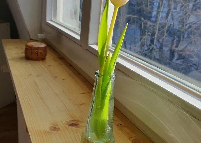 Altbau Auszeit Am Kueppel Apartment Gersfeld